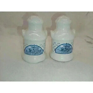 Holland Michigan Salt And Pepper Shakers Souvenir Collectable Kitchen Decor Vtg